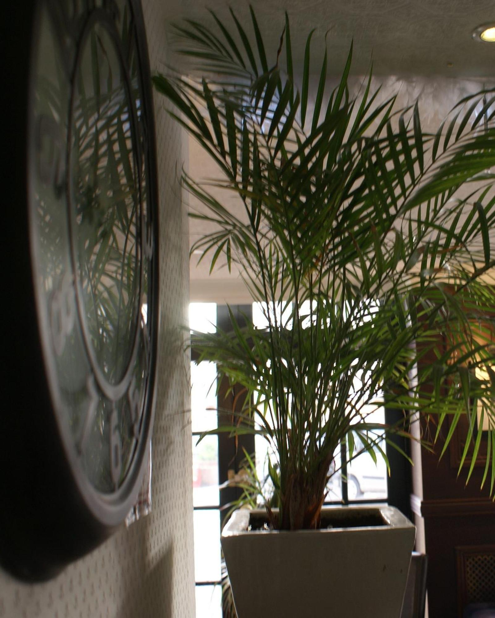 Be Cottage Hotel Le Touquet 외부 사진